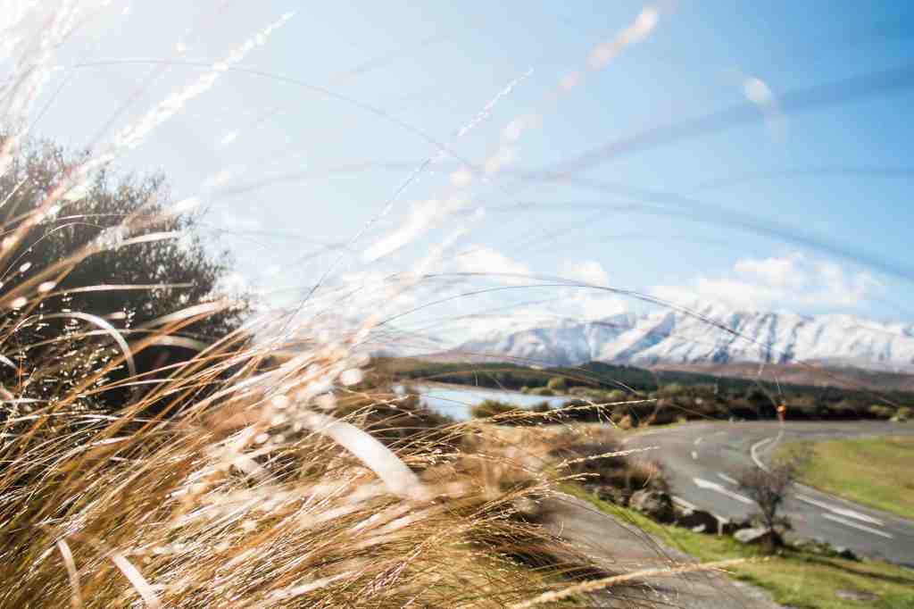 เที่ยวนิวซีแลนด์กันเถอะ