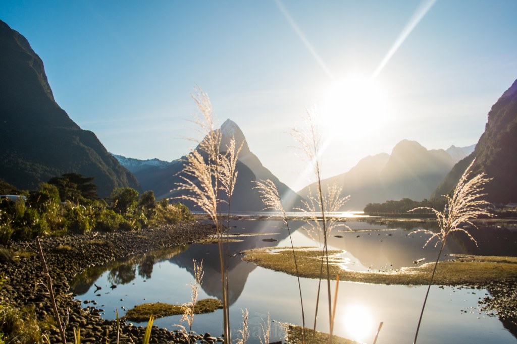 ควรไป Milford Sound ไหมนะ&nbsp;!!
